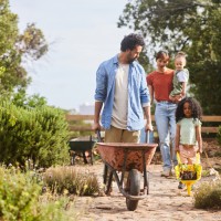 Parents walking and their cute little daughters walking with wheelbarrows along a footpath in their organic vegetable garden