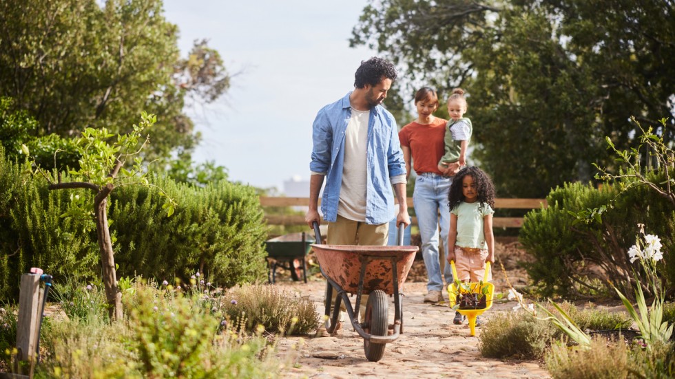 Parents walking and their cute little daughters walking with wheelbarrows along a footpath in their organic vegetable garden