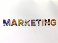 The Role of Content Marketing in Online Business Growth
