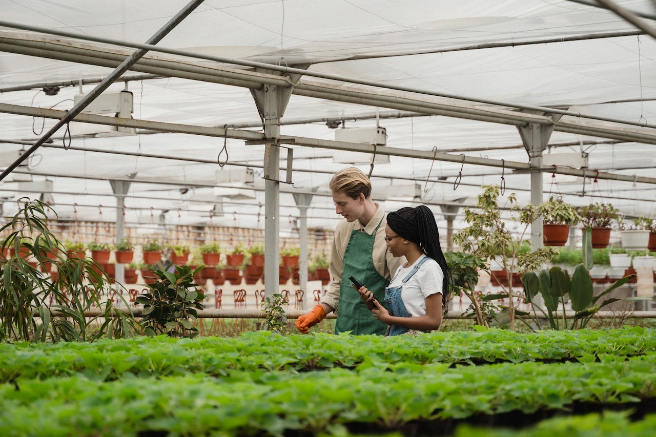 5 Ways to Hire the Best Gardeners HireRush Blog