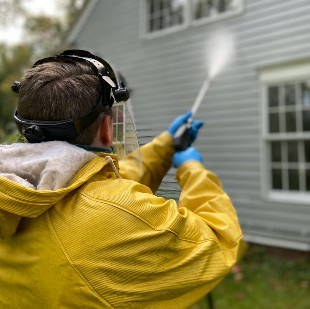 pexels-caitlin-whealy-5652626