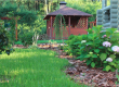 Sun protection for plants: 3 basic ways