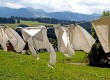 20 helpful laundry tips