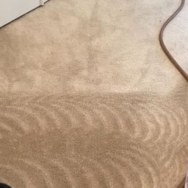 Photo #1: DAVIDS Restore Carpet Cleaning