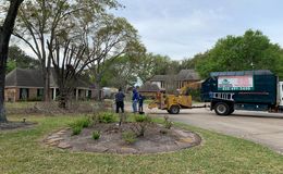 Photo #2: Garcia Professional Tree Service
