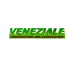 Veneziale Contracting And Landscaping