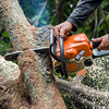 HUMBOLDT TREE SERVICE