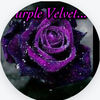 Purple Velvet travleing Salon