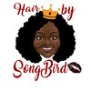 Hair By Song Bird, LLC