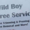 Wild boy tree service