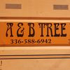 A & B Tree Expert