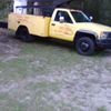 Julius Williams Tree Service
