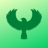 Green Falcon Cleaning Services