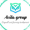 Avila Group Drywall and Framing Development, LLC