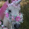 Enchanted FairyTale Pony Parties