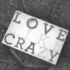 Love Like Crazy Photography
