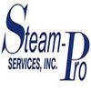 Steam Pro