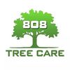 808 Tree Care