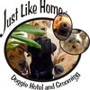 Just Like Home Doggie Hotel And Grooming