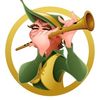 The Pied Piper - Professional Wildlife Management