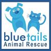 Blue-Tails