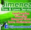 Jimenez tree and lawn service
