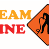 SteamLine carpet cleaning restoration