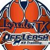 Off Laesh K9 Training Laredo