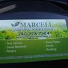 Marcell landscaping and tree service