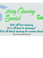 Logo Spring Cleaning Special
