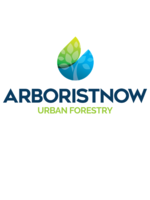 Logo Arborist Now, Inc. 