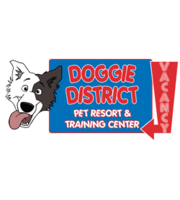 Logo Doggie District Pet Resort 