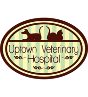 Logo Uptown Veterinary Hospital 