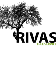 Logo Rivas tree service 
