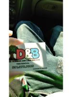 Logo DNB Lawn and Tree Care