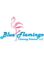 Logo BLUE FLAMINGO CS