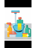 Logo Naillon Ladies Cleaning Services