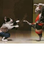 Logo Jake’s Mobile Auto Repair