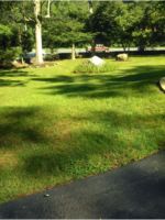 Logo Garcia's Tree and Lawn Care Services