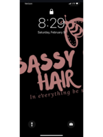 Logo Sassy B Hair Styles