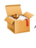 Logo Safe To Go Movers