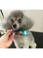 Logo A-List Grooming by Susan