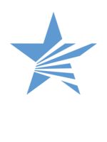 Logo Lone Star Pro Services
