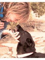 Logo PAWSitive Care Pet Sitting