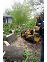 Logo Ron’s Tree service