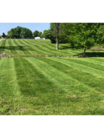 Logo Cole's Lawn Care & Landscape