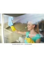 Logo Triangle First Quality Cleaning Service