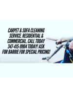 Logo The Real McCoy Carpet Cleaning