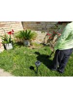 Logo Daniel's  Landscape & Irrigation