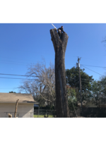 Logo Perez Tree Service